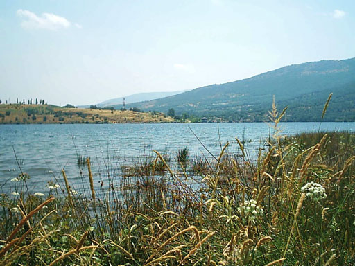 Embalse de Pinila