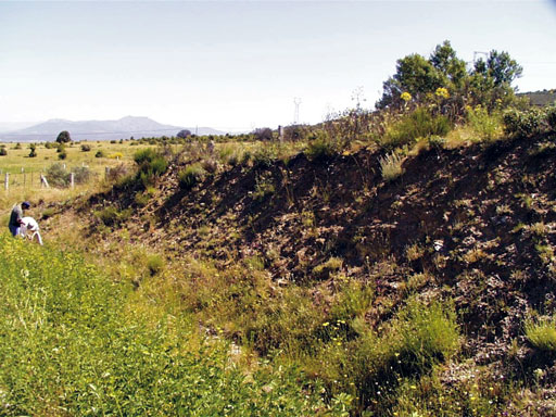 Esquistos de El Berrueco