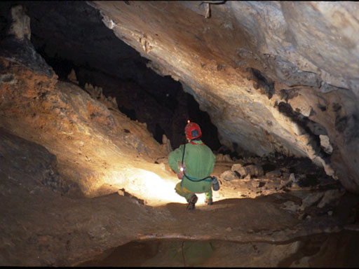 Cueva del Reguerillo