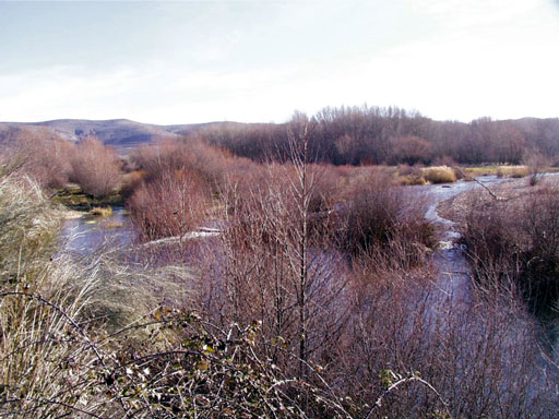 Confluencia de los Ríos Lozoya y Jarama