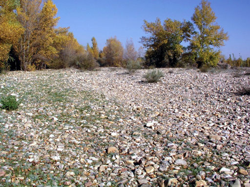 El río Jarama y sus Terrazas