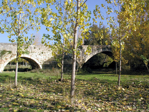 Puente Romano de Talamanca del Jarama